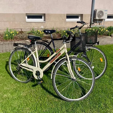 Buergermeister With Free Bicycles * Хаапсалу